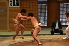 sumo_03.jpg