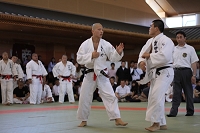 sotai-judo-m_11-05-30_08.jpg