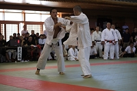 sotai-judo-m_11-05-30_48.jpg