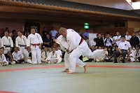 sotai-judo-m_11-05-30_60.jpg