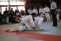 sotai-judo-m_11-05-30_63.jpg