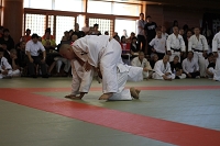 sotai-judo-m_11-05-30_68.jpg