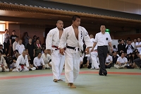 sotai-judo-m_11-05-30_78.jpg