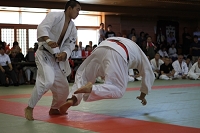 sotai-judo-m_11-05-30_94.jpg