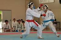 sotai-karate-m_11-05-31_22.jpg