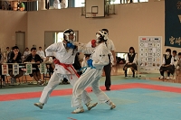 sotai-karate-m_11-05-31_33.jpg