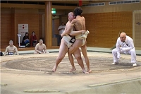 s-sotai-sumo_11-06-01-0006.jpg