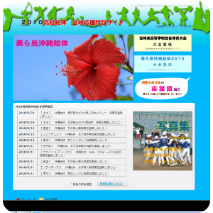 2010年宮崎県高校総体特設サイト
